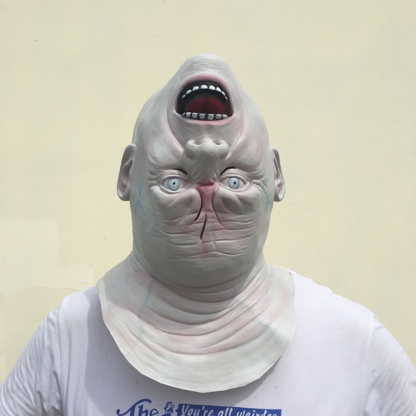 Day of the Dead Horror Face Mask for Cosplay and Haunts